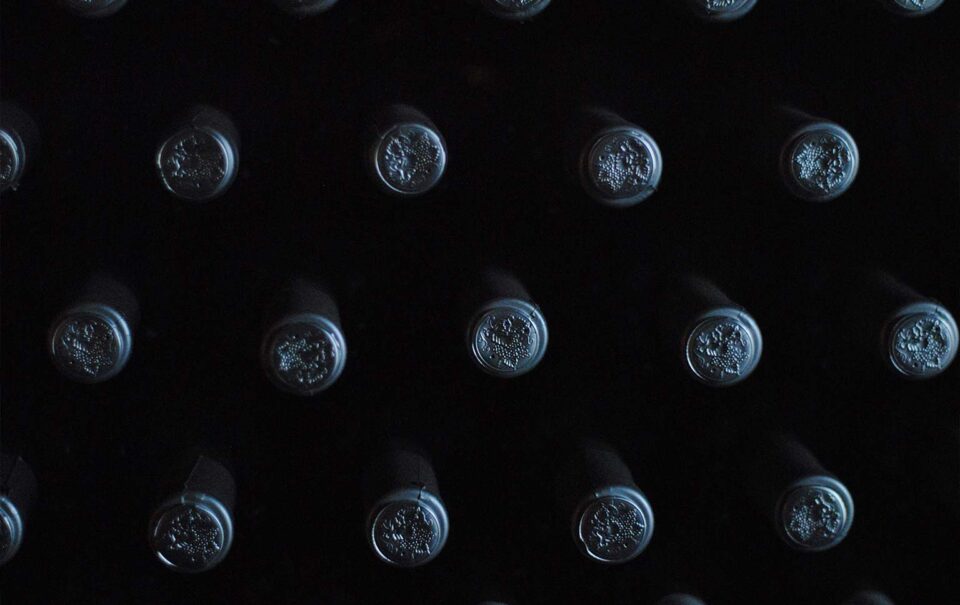 Algarve vinhos