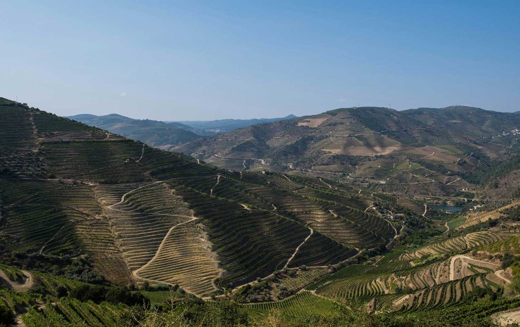 DOURO SUPERIOR