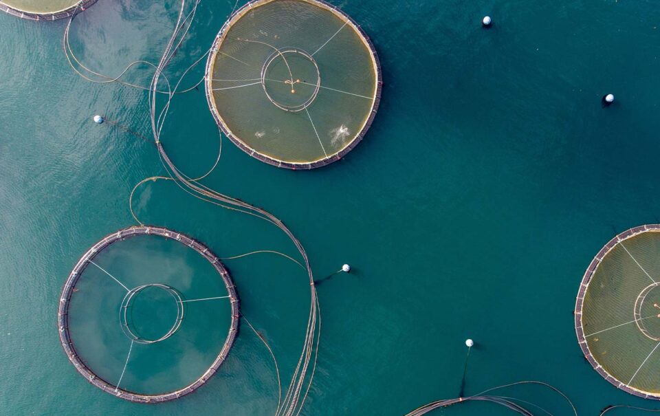 aquacultura sustentável