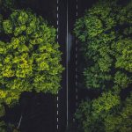 sustentabilidade empresarial