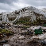apoio agricultores tempestade Kristin
