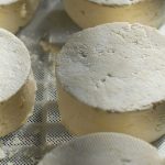 apoio agroindústria