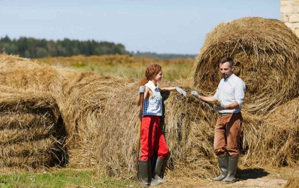 apoios pepac para jovens agricultores