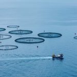 aquacultura