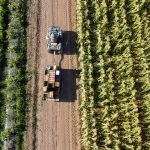 candidaturas agrícolas