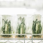 Inovação alimentar em Portugal