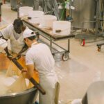 investimento produtivo bioeconomia