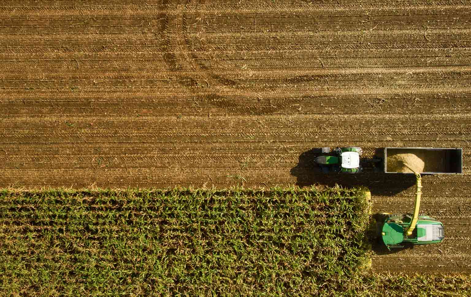 perceção da agricultura