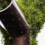 sustentabilidade e competitividade