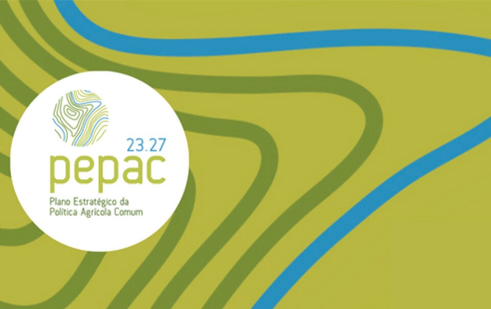 Candidaturas ao PEPAC