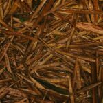 resíduos agrícolas para vestuário