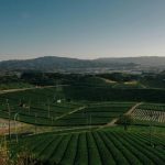 simplificação da PAC