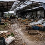 resseguros agrícolas