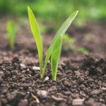 sustentabilidade na agricultura