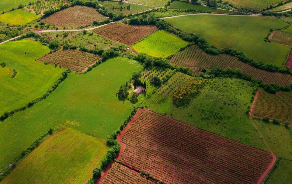 terrenos
